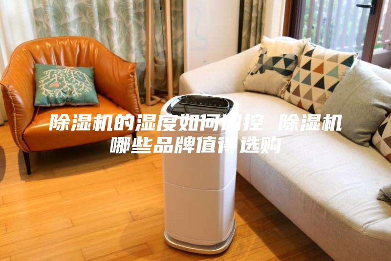 除湿机的湿度如何调控 除湿机哪些品牌值得选购