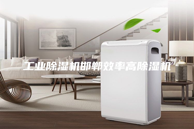 工业除湿机邯郸效率高除湿机