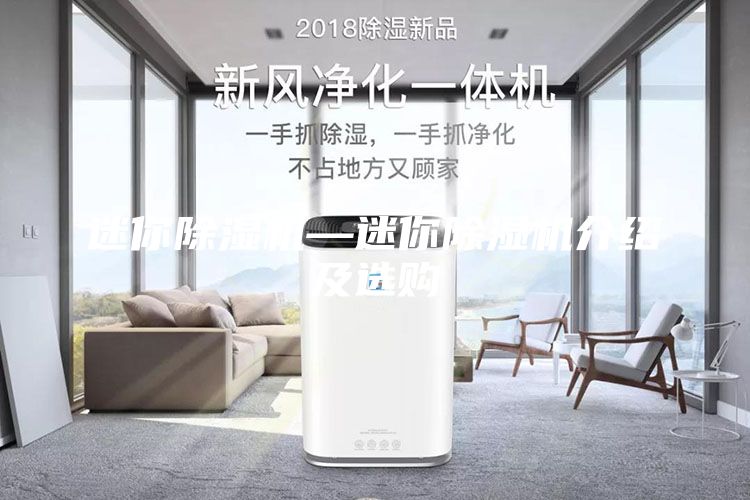 迷你除湿机—迷你除湿机介绍及选购