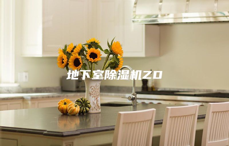 地下室除湿机ZD
