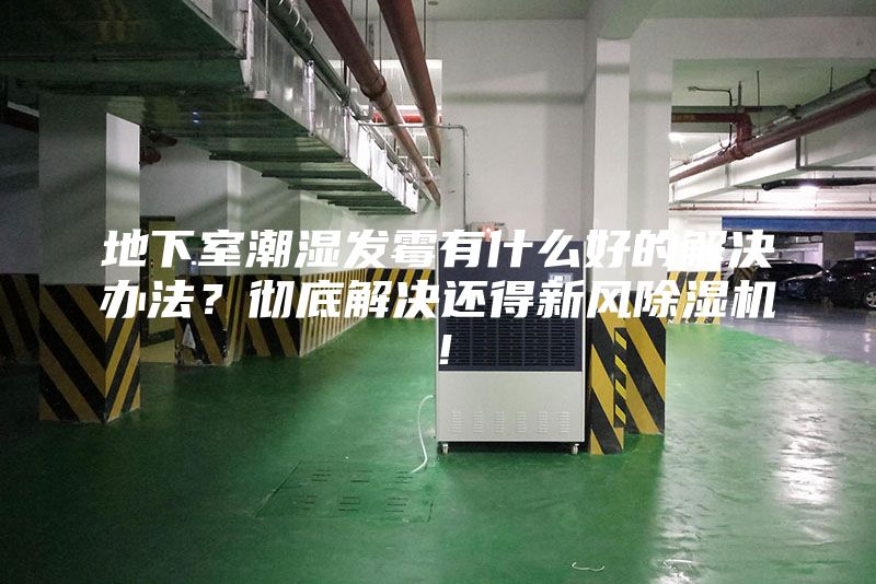 地下室潮湿发霉有什么好的解决办法？彻底解决还得新风除湿机！