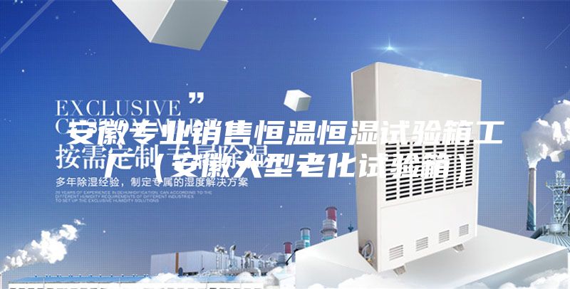 安徽专业销售恒温恒湿试验箱工厂（安徽大型老化试验箱）