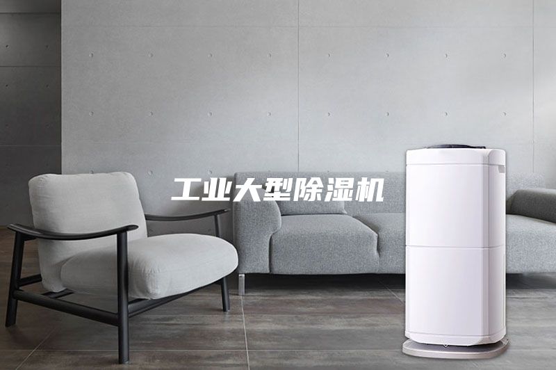 工业大型除湿机