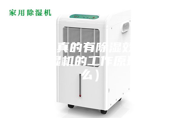 除湿机真的有除湿效果吗（除湿机的工作原理是什么）
