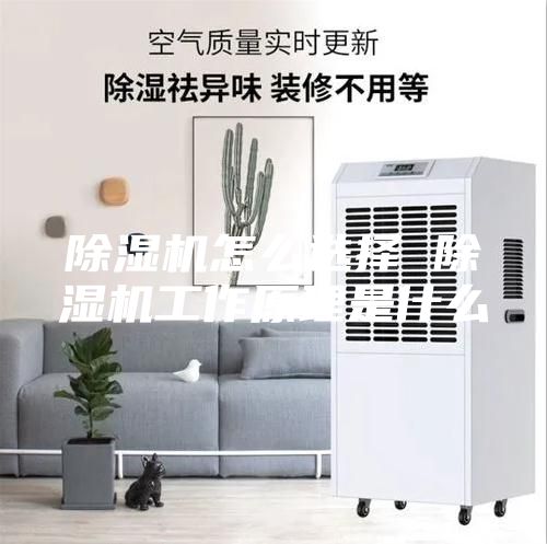 除湿机怎么选择 除湿机工作原理是什么