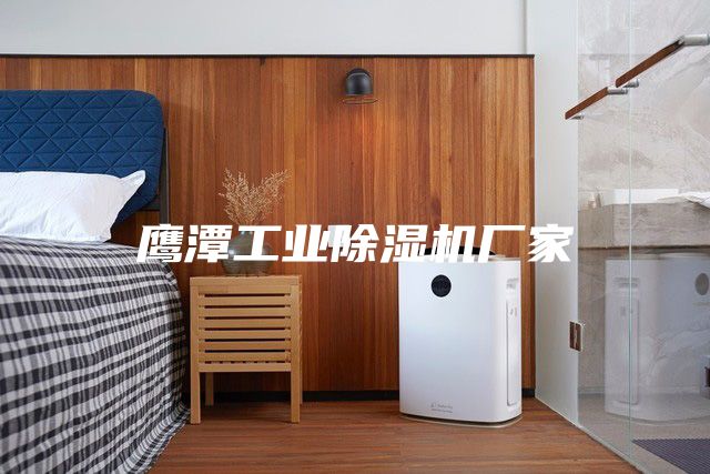 鹰潭工业除湿机厂家
