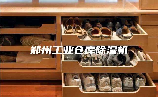 郑州工业仓库除湿机