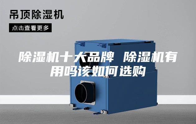 除湿机十大品牌 除湿机有用吗该如何选购