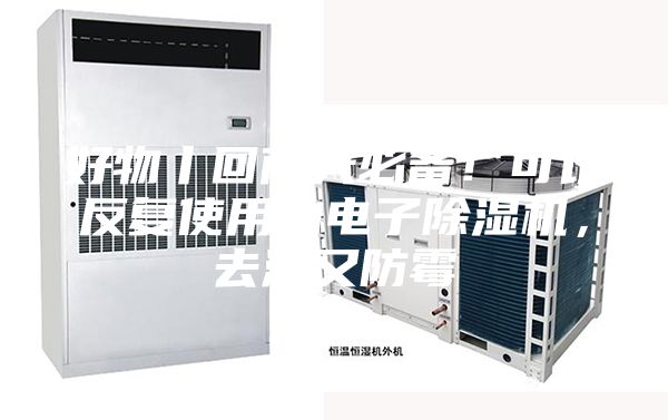 好物丨回南天必备！可以反复使用的电子除湿机，去潮又防霉