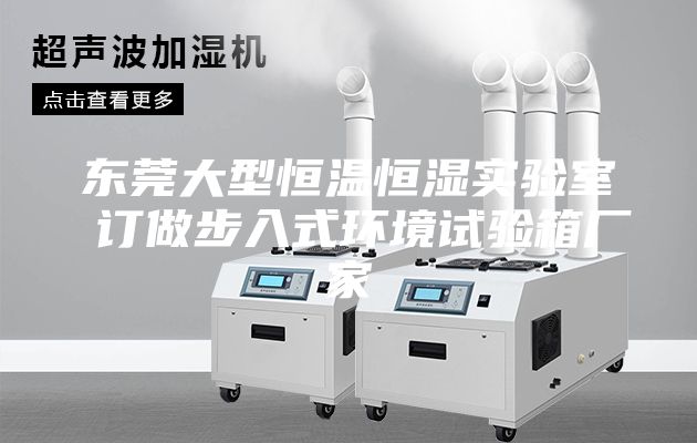 东莞大型恒温恒湿实验室 订做步入式环境试验箱厂家
