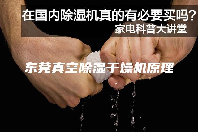 东莞真空除湿干燥机原理