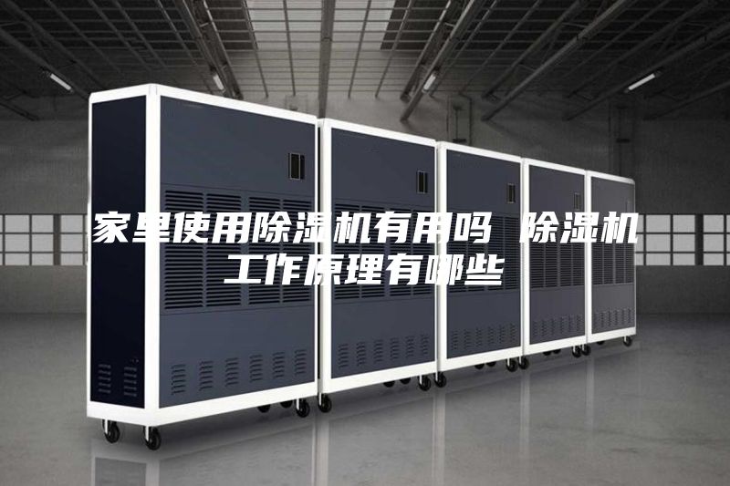 家里使用除湿机有用吗 除湿机工作原理有哪些