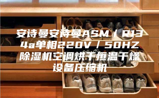 安诗曼安诗曼ASM／R134a单相220V／50HZ除湿机空调烘干恒温干燥设备压缩机