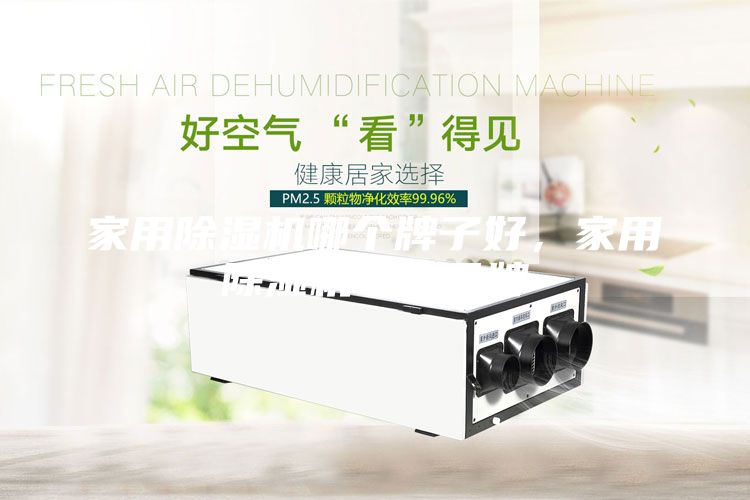 家用除湿机哪个牌子好，家用除湿机十大品牌