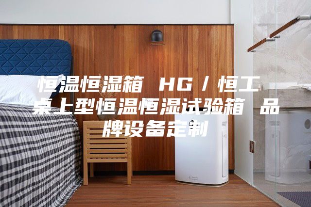 恒温恒湿箱 HG／恒工 桌上型恒温恒湿试验箱 品牌设备定制