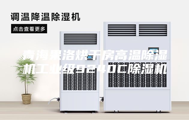 青海果洛烘干房高温除湿机工业级9240C除湿机