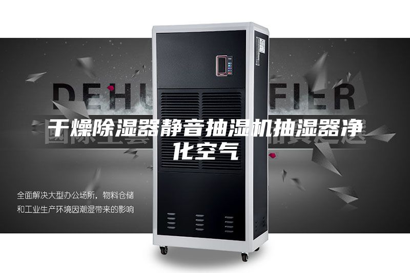 干燥除湿器静音抽湿机抽湿器净化空气