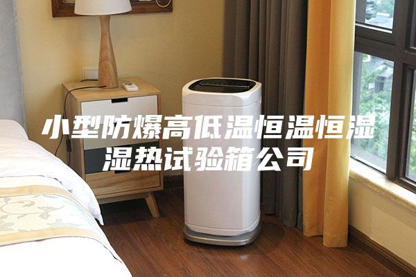小型防爆高低温恒温恒湿湿热试验箱公司