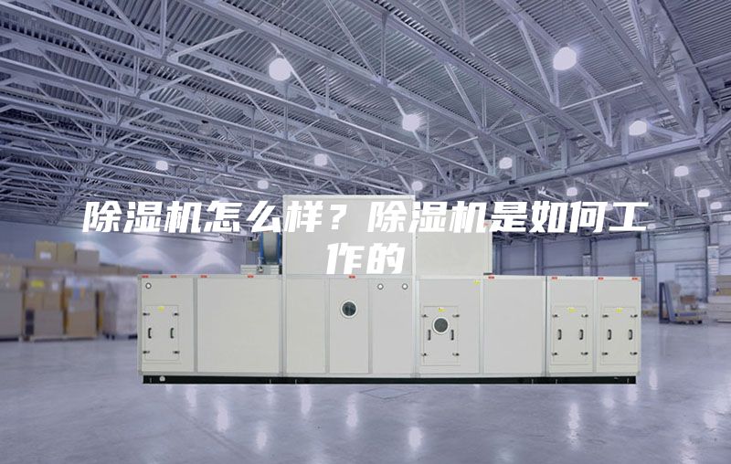 除湿机怎么样？除湿机是如何工作的