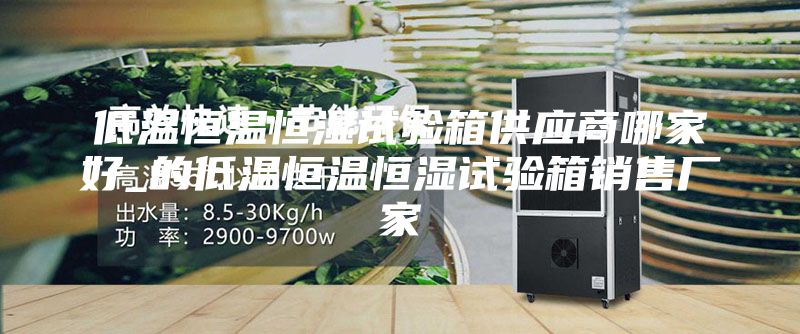 低温恒温恒湿试验箱供应商哪家好_的低温恒温恒湿试验箱销售厂家