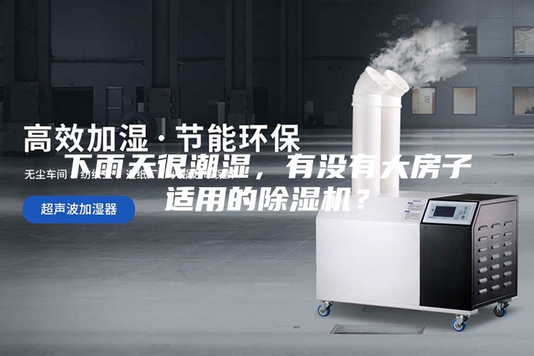 下雨天很潮湿，有没有大房子适用的除湿机？