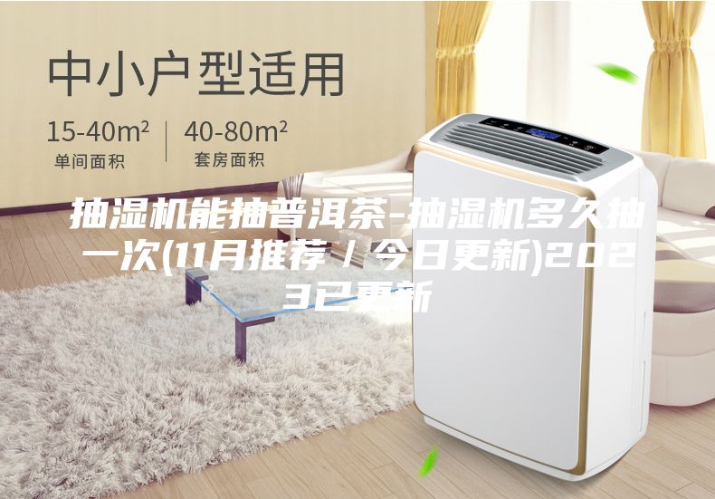 抽湿机能抽普洱茶-抽湿机多久抽一次(11月推荐／今日更新)2023已更新