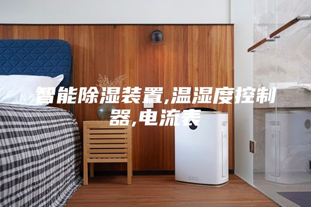智能除湿装置,温湿度控制器,电流表