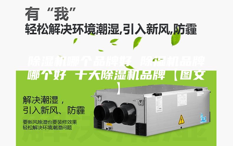 除湿机哪个品牌好 除湿机品牌哪个好 十大除湿机品牌【图文】