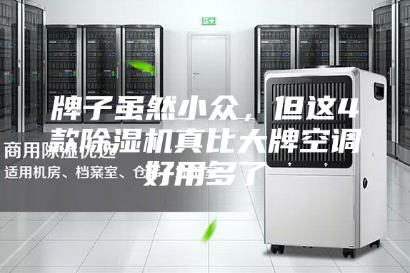 牌子虽然小众，但这4款除湿机真比大牌空调好用多了