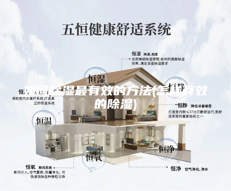 如何除湿最有效的方法(怎样有效的除湿)