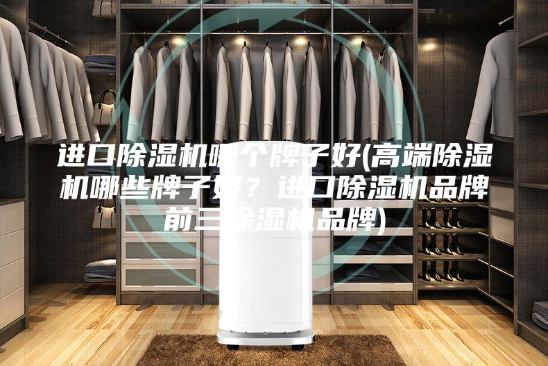 进口除湿机哪个牌子好(高端除湿机哪些牌子好？进口除湿机品牌前三除湿机品牌)