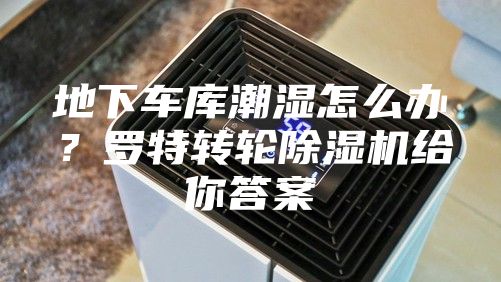 地下车库潮湿怎么办？罗特转轮除湿机给你答案