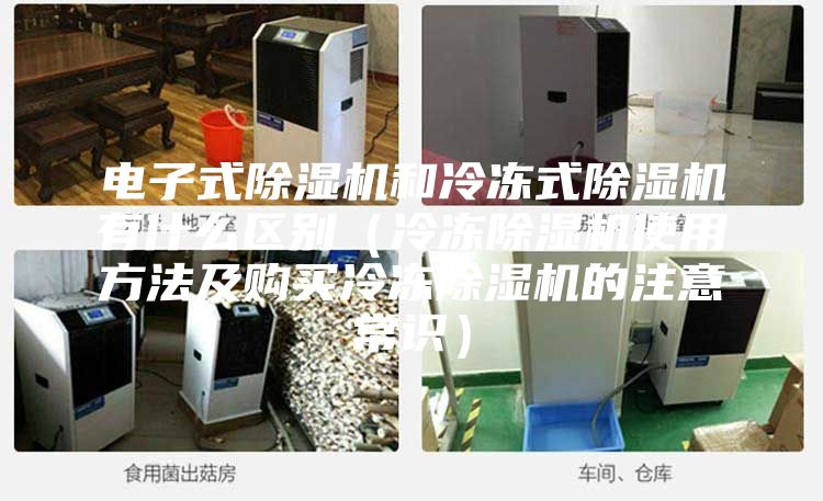 电子式除湿机和冷冻式除湿机有什么区别（冷冻除湿机使用方法及购买冷冻除湿机的注意常识）