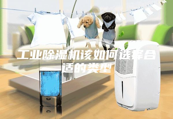 工业除湿机该如何选择合适的类型