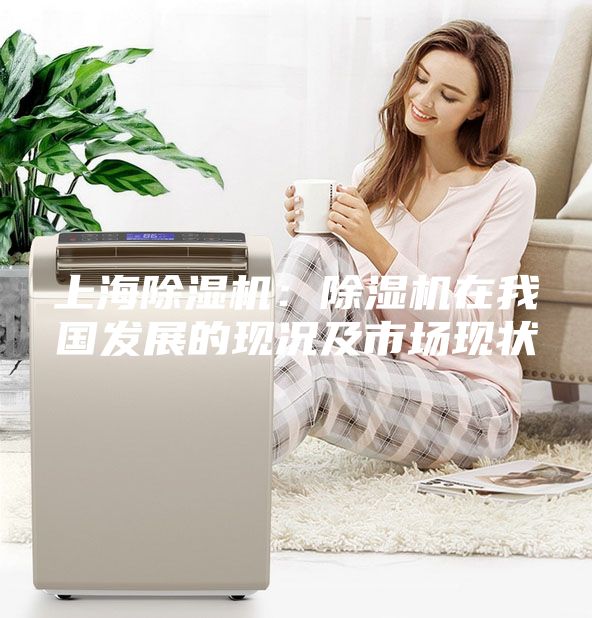 上海除湿机：除湿机在我国发展的现况及市场现状