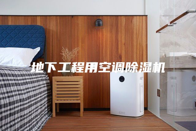 地下工程用空调除湿机