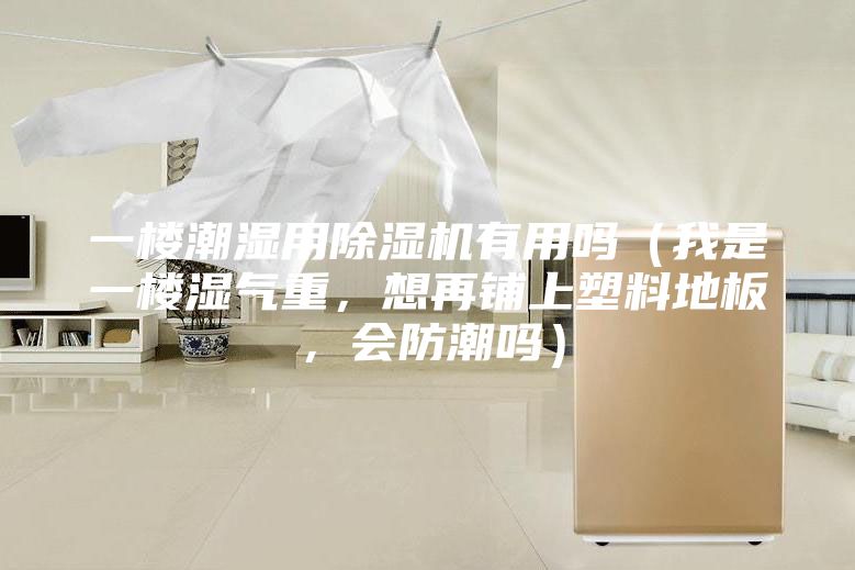 一楼潮湿用除湿机有用吗（我是一楼湿气重，想再铺上塑料地板，会防潮吗）