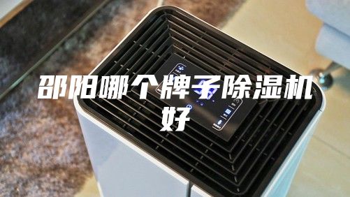 邵阳哪个牌子除湿机好