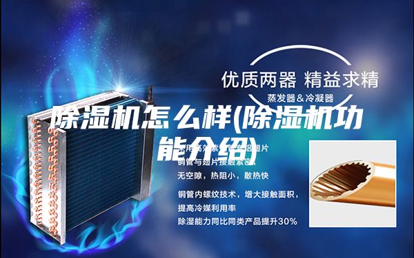 除湿机怎么样(除湿机功能介绍)