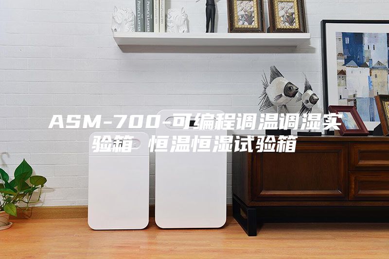 ASM-700-可编程调温调湿实验箱 恒温恒湿试验箱