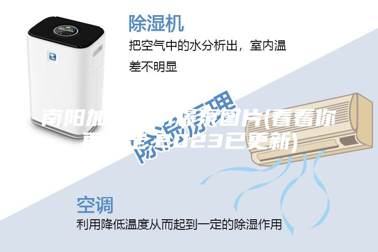 南阳加油机防爆泵图片(看看你再决定,2023已更新)