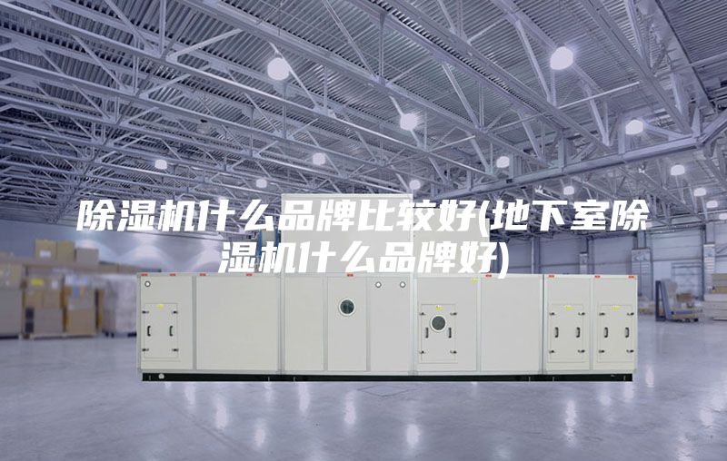 除湿机什么品牌比较好(地下室除湿机什么品牌好)