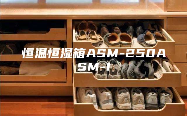 恒温恒湿箱ASM-250ASM-I