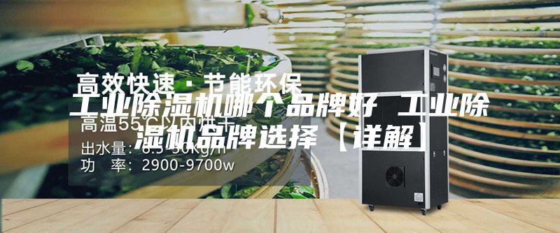 工业除湿机哪个品牌好 工业除湿机品牌选择【详解】