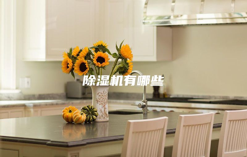 除湿机有哪些