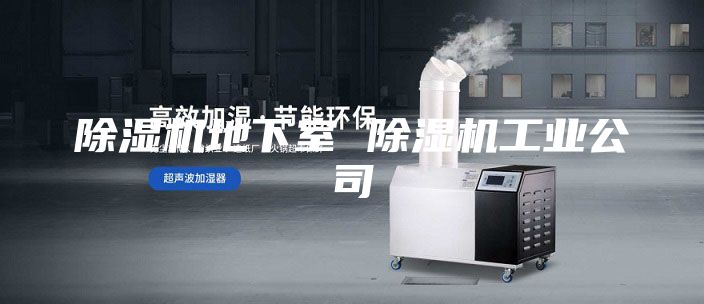除湿机地下室 除湿机工业公司