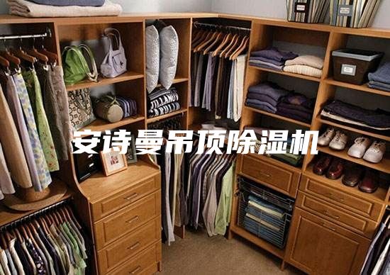 安诗曼吊顶除湿机