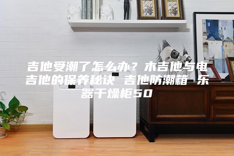 吉他受潮了怎么办？木吉他与电吉他的保养秘诀 吉他防潮箱 乐器干燥柜50