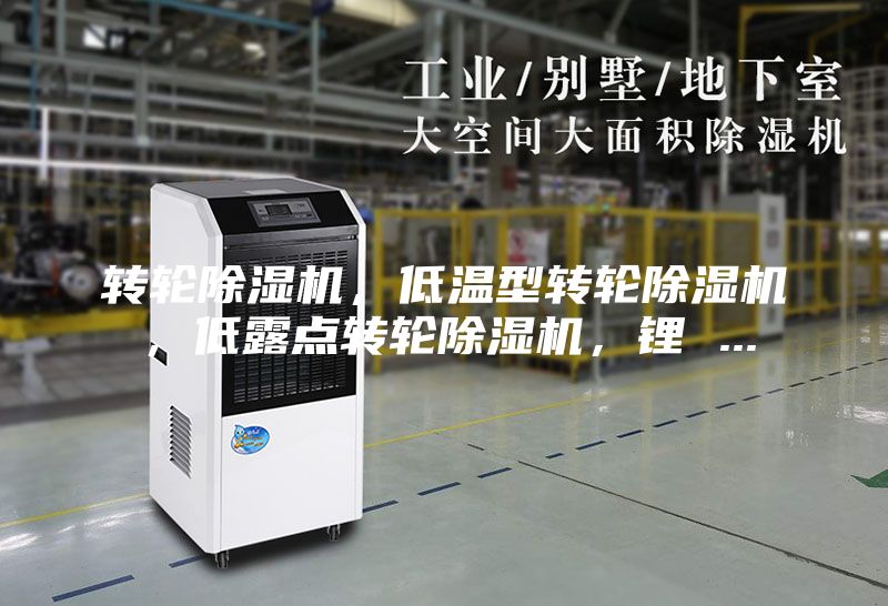 转轮除湿机，低温型转轮除湿机，低露点转轮除湿机，锂 ...