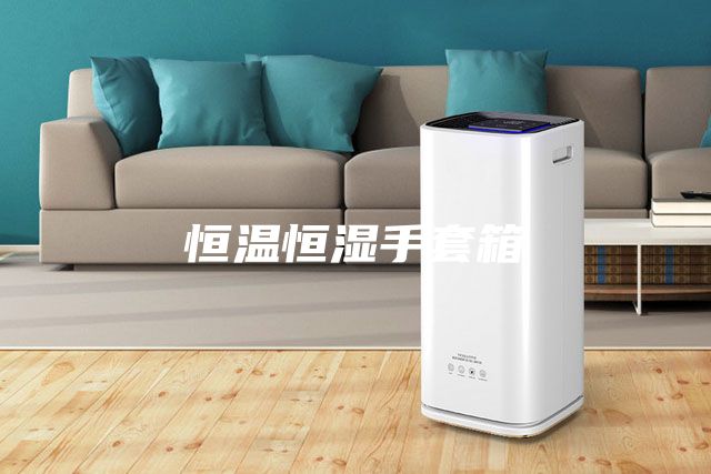恒温恒湿手套箱